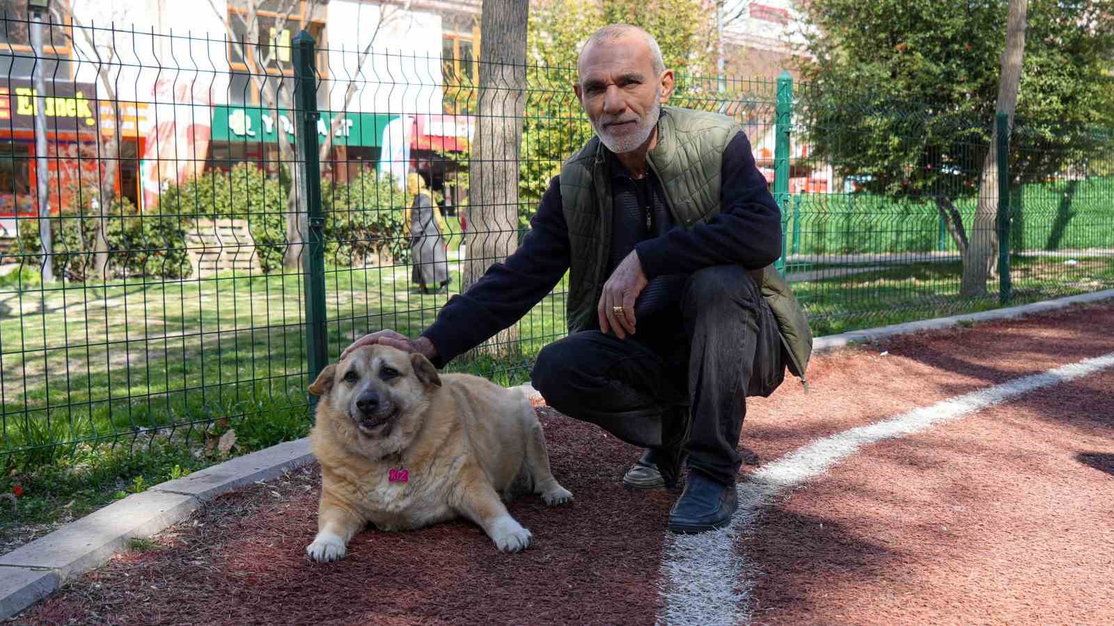 13 yaşındaki obez k&ouml;pek &rsquo;Kız&rsquo;, y&uuml;r&uuml;y&uuml;ş yaparak zayıflıyor
