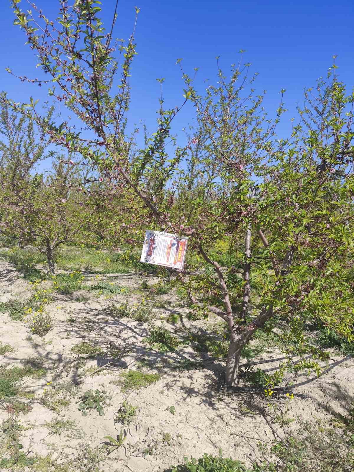 Kozan&rsquo;da arıların korunmasına y&ouml;nelik &ccedil;alışma başlatıldı
