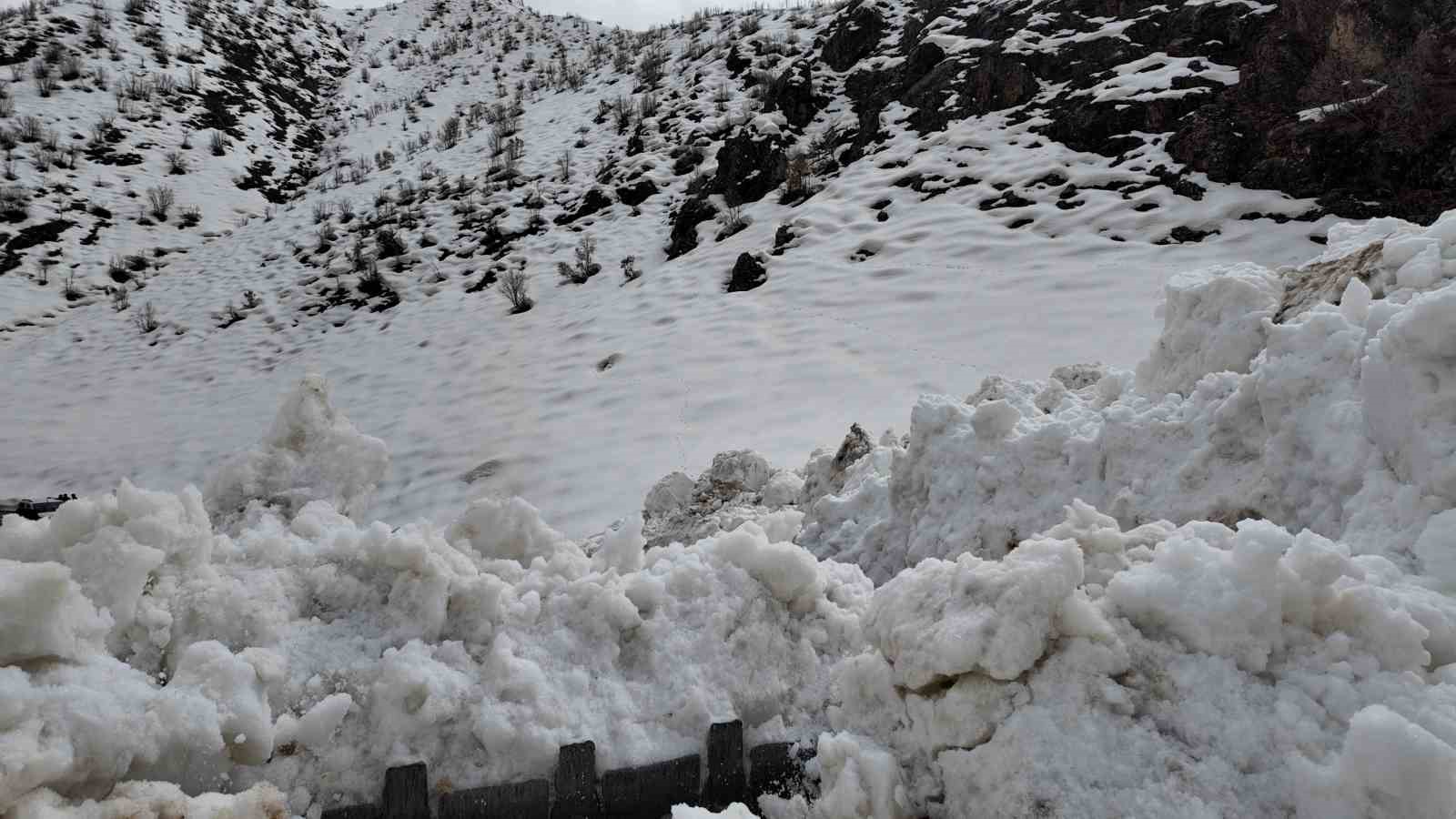Köy yoluna çığ düştü, ekipler yolu açmak için çalışma başlattı
