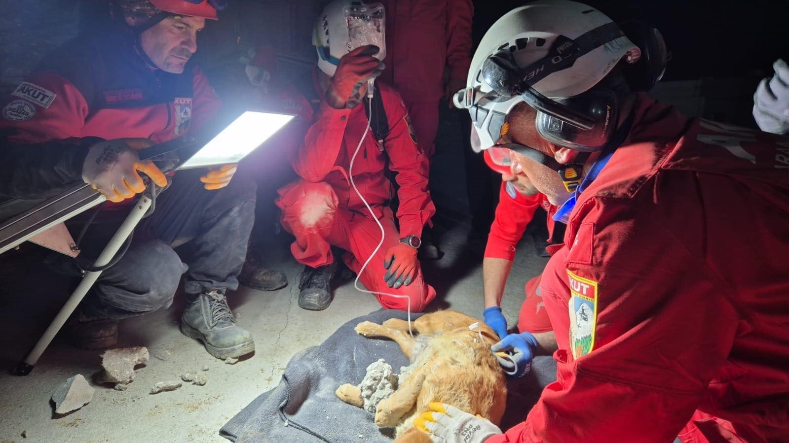 Betonun i&ccedil;ine sıkışan k&ouml;pek kurtarıldı
