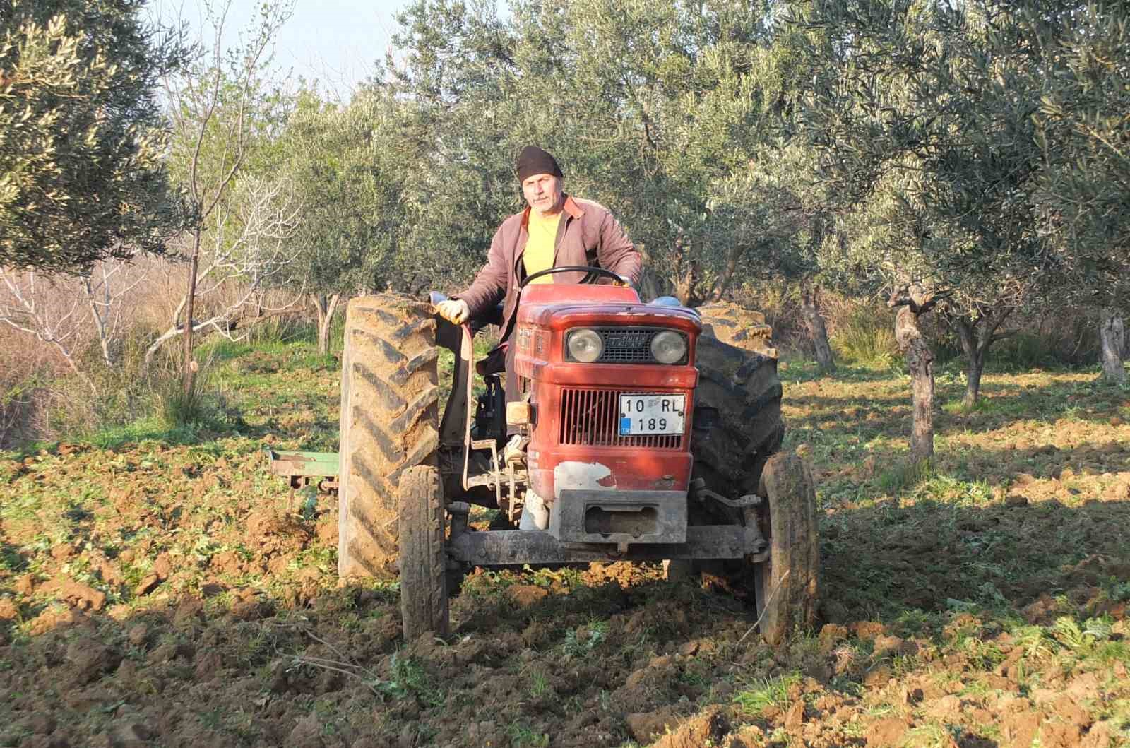 Balıkesir&rsquo;de zeytinliklerde s&uuml;r&uuml;m başladı
