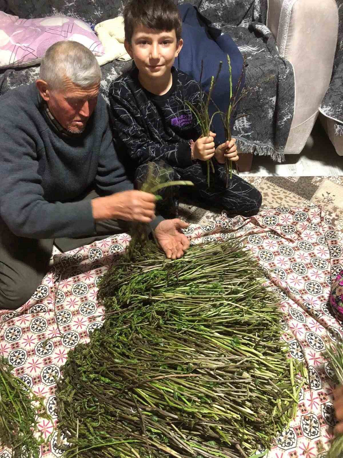 Sarıg&ouml;l&rsquo;de yaban otları paraya d&ouml;n&uuml;şt&uuml;
