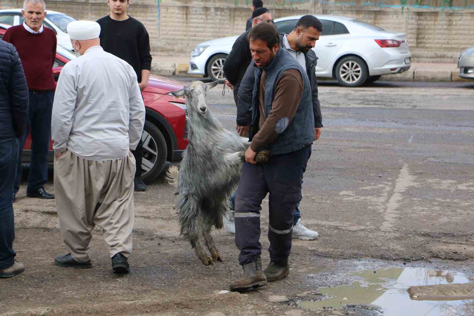 Diyarbakır&rsquo;da vatandaşlar sofralara bırakacağı eti canlı hayvan pazarından almayı tercih ediyor
