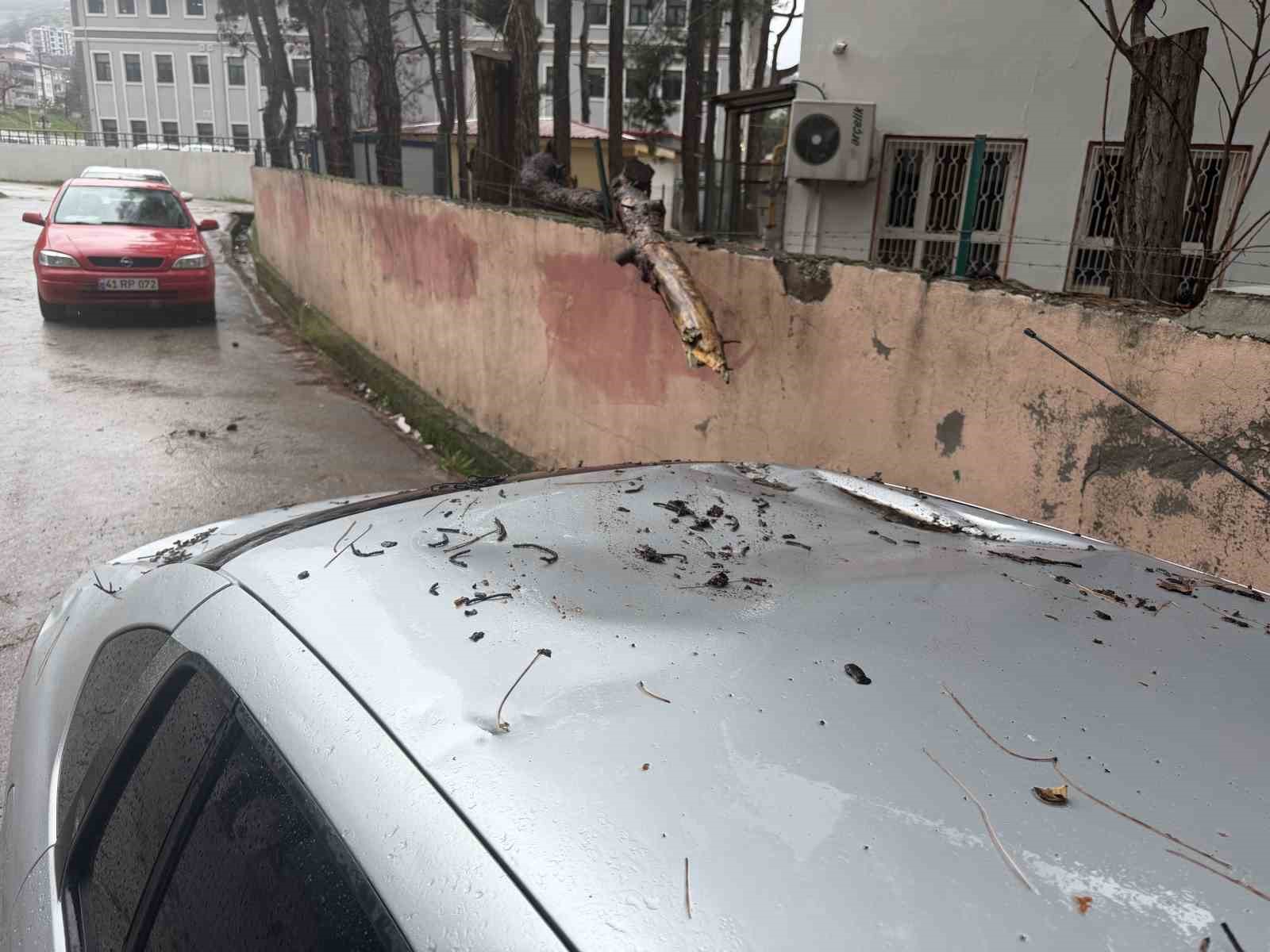 Yağmur ve şiddetli r&uuml;zgar &ccedil;am ağacını devirdi, otomobil zarar g&ouml;rd&uuml;
