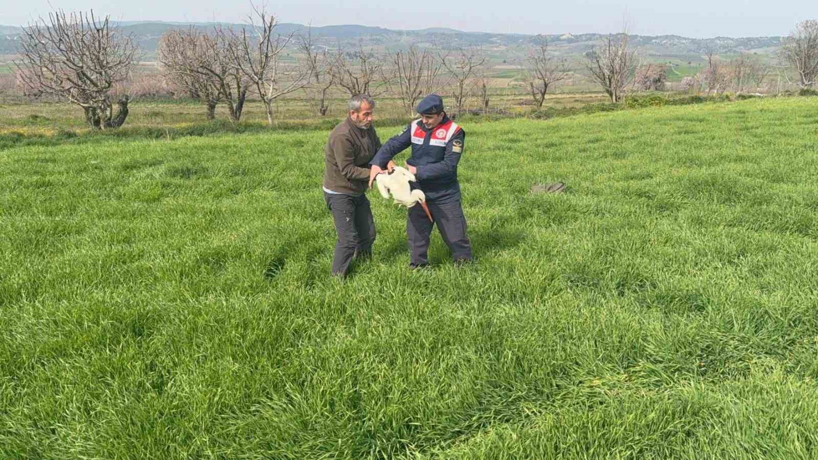 Bilecik’te yaralı leylek yetkililere teslim edildi