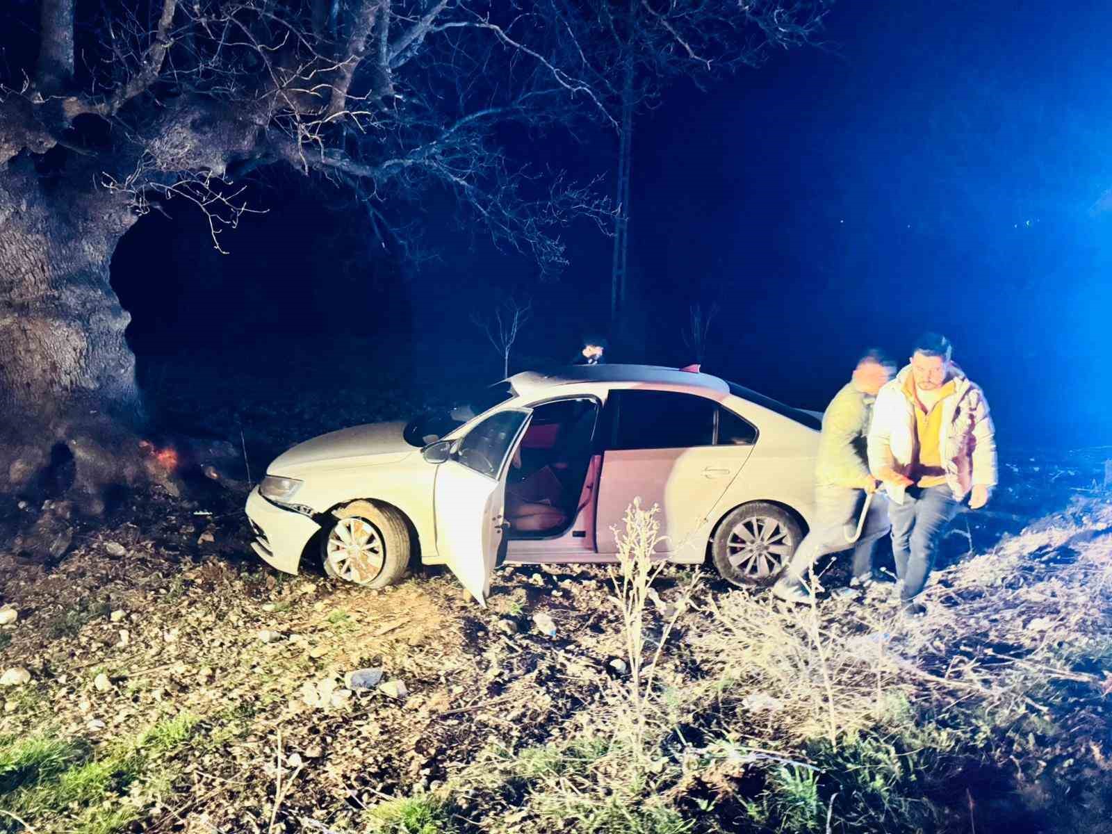 Otomobil ağaca &ccedil;arptı: 1 yaralı
