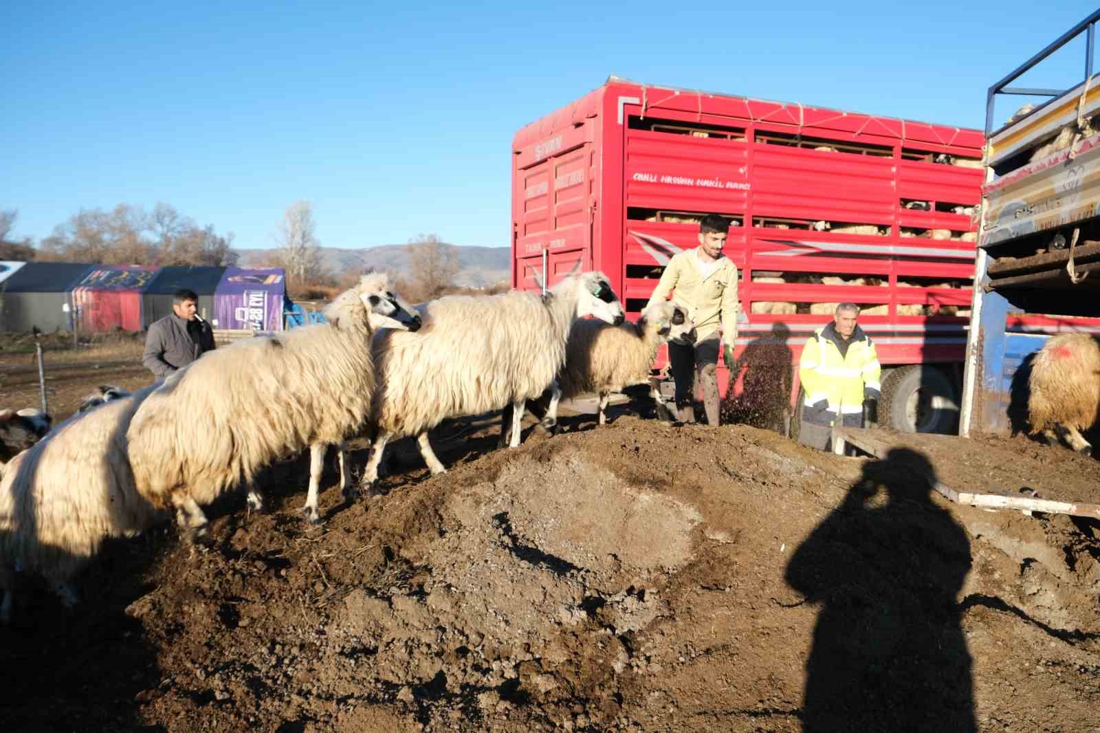 Erzincan&rsquo;da besiciler 8 aylık g&ouml;&ccedil;e başladı
