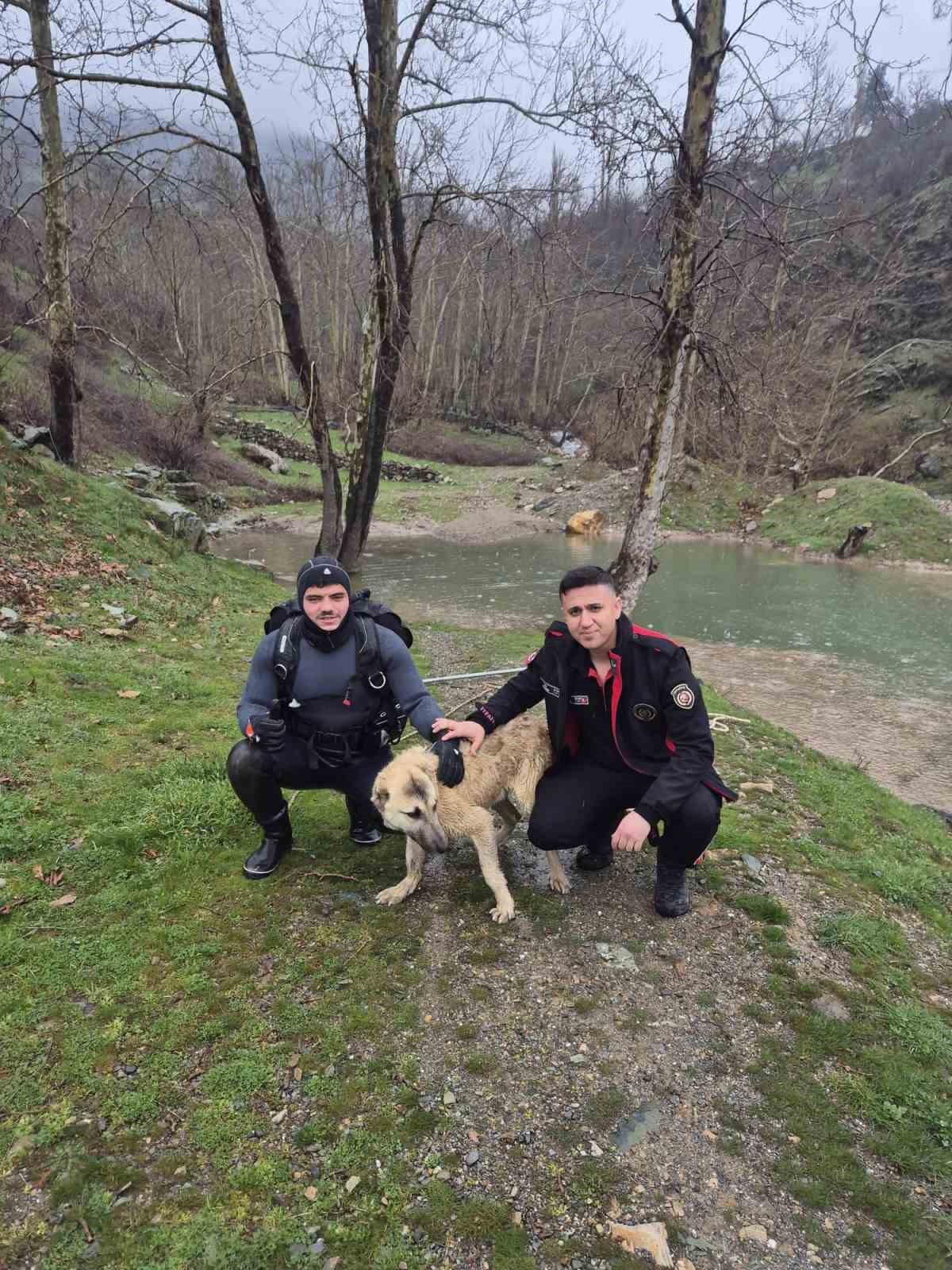 Mahsur kalan k&ouml;peği itfaiye ekipleri kurtardı
