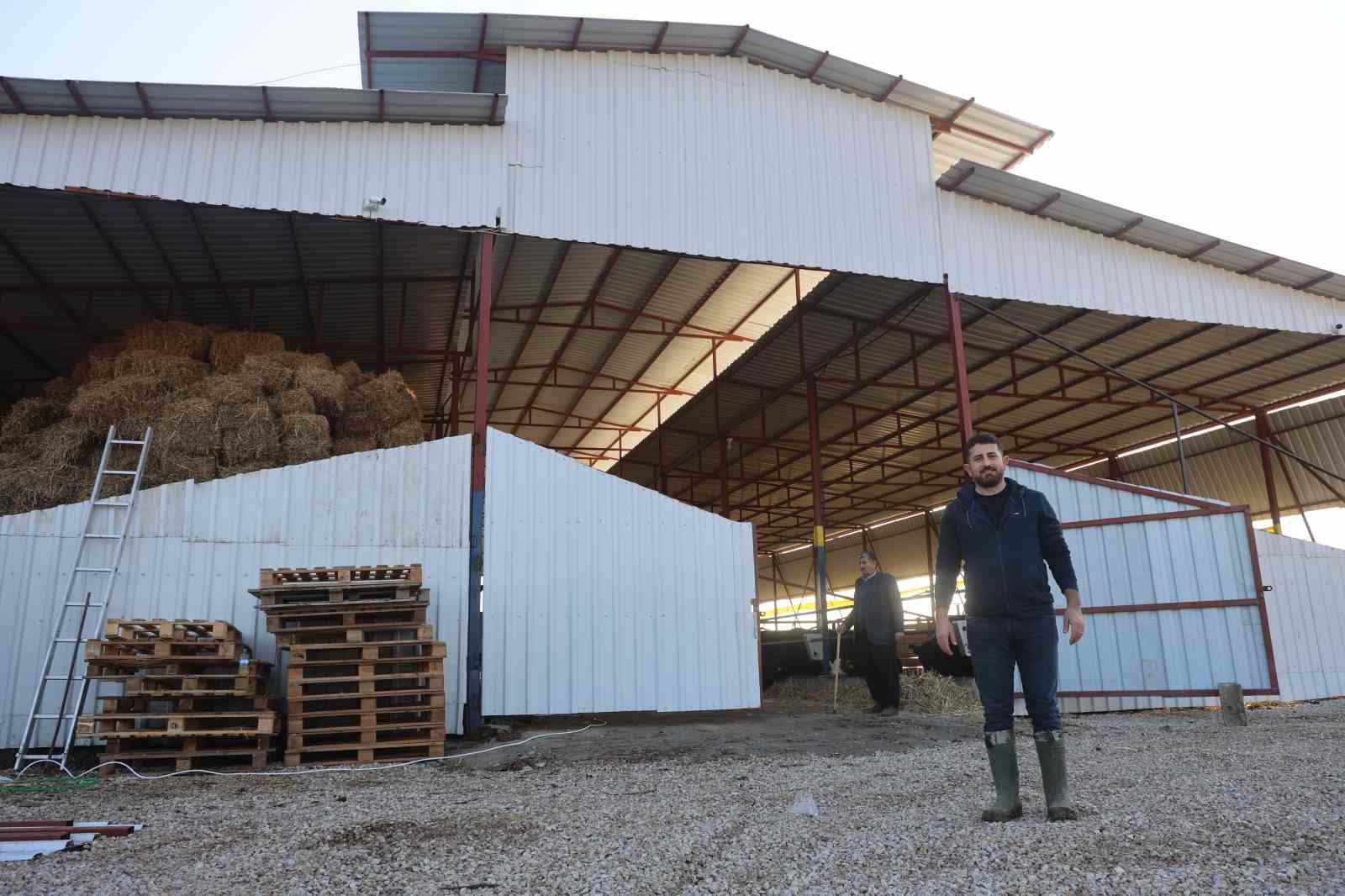 Ziraat m&uuml;hendisliğini bırakarak devlet desteğiyle kurduğu &ccedil;iftlikte hayvancılığa başladı
