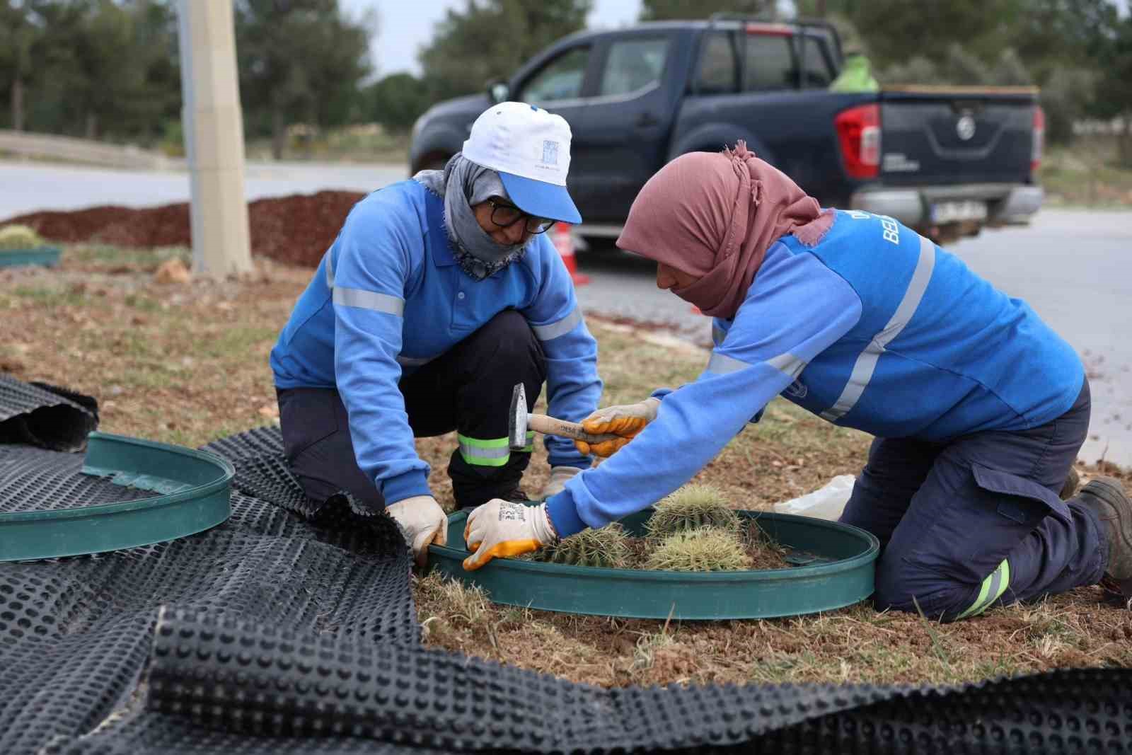 Didim Belediyesi, Didim&rsquo;e &ccedil;ıkan yolları g&uuml;zelleştirdi
