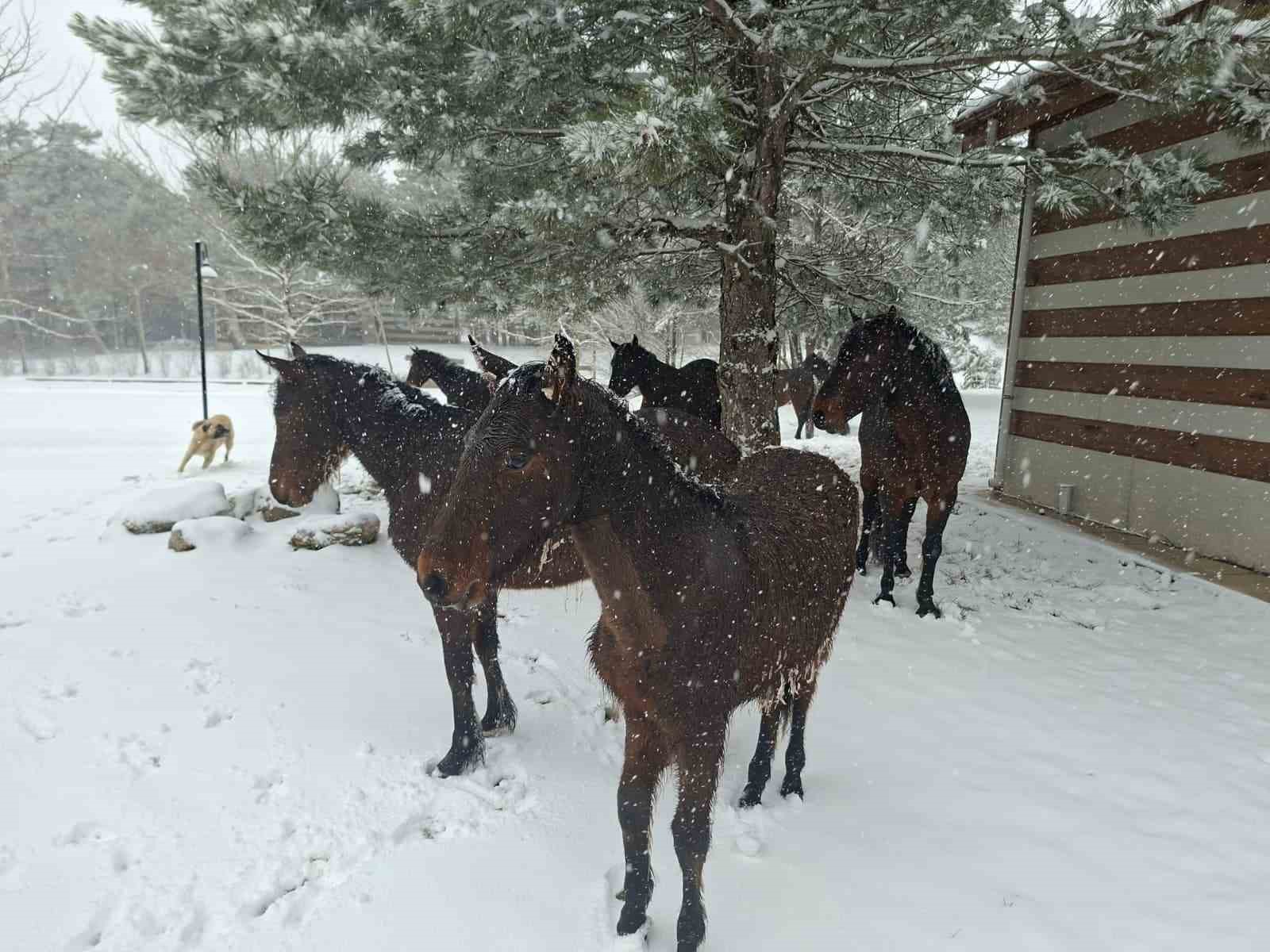 Bayramda Spil’e kar sürprizi