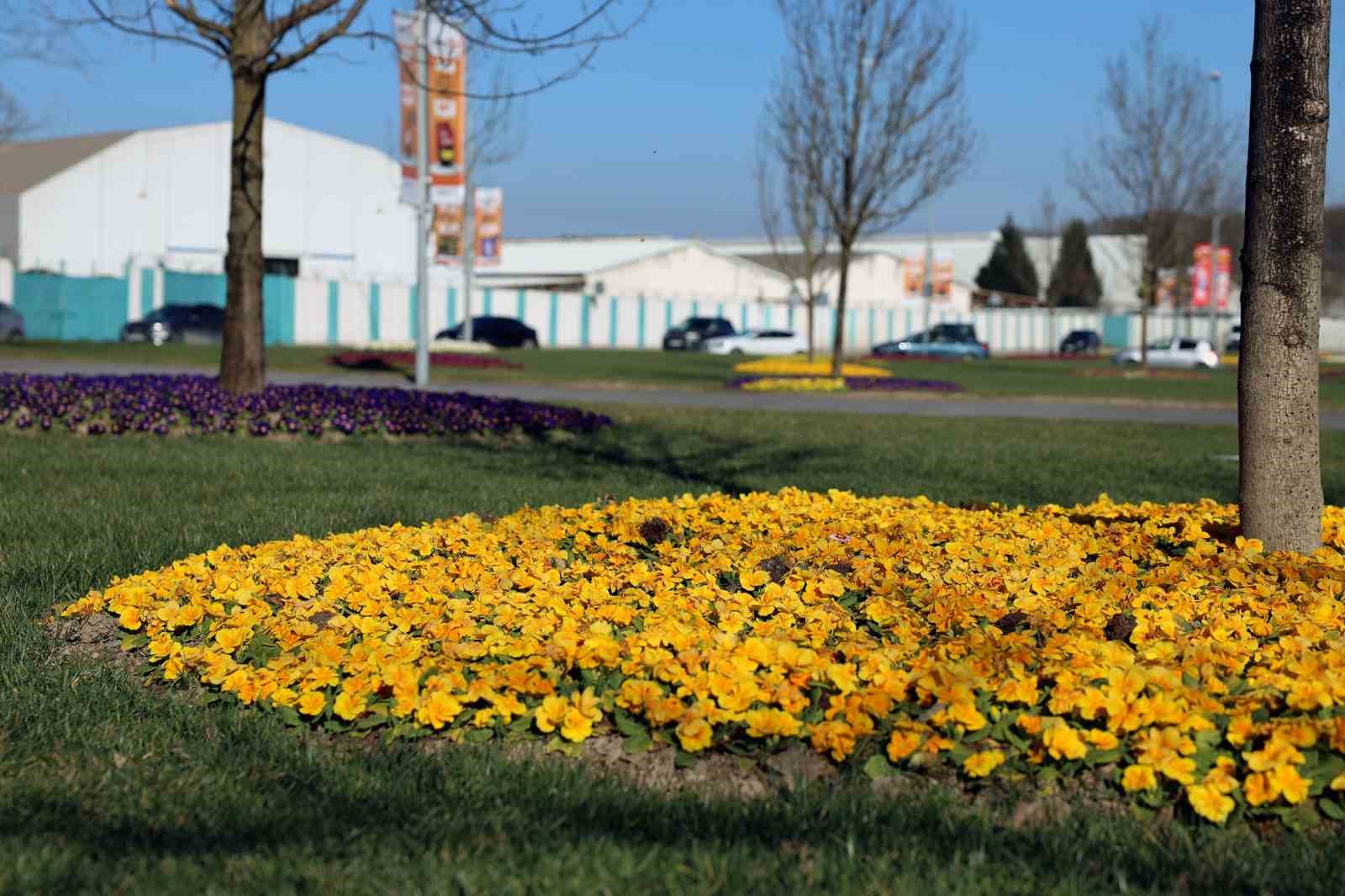 Sakarya&rsquo;da caddeler, parklar ve camiler bayrama hazır hale geldi

