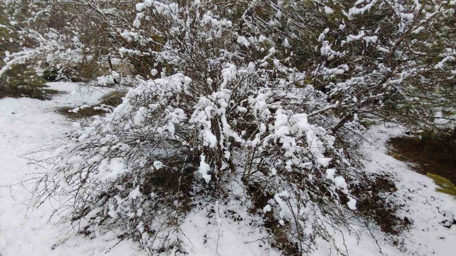 Bolu martta yağan karla beyaza b&uuml;r&uuml;nd&uuml;
