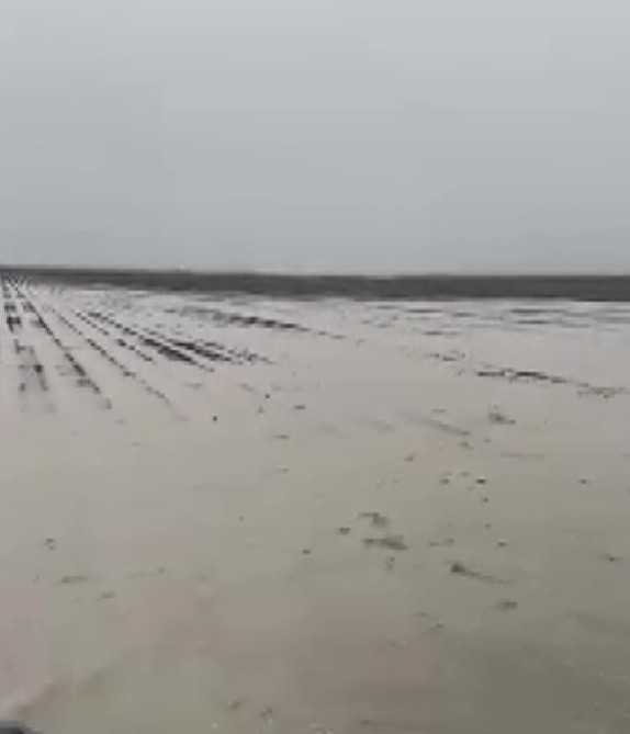 Karataş’ta sağanak hayatı felç etti: Yollar ve tarlalar göle döndü