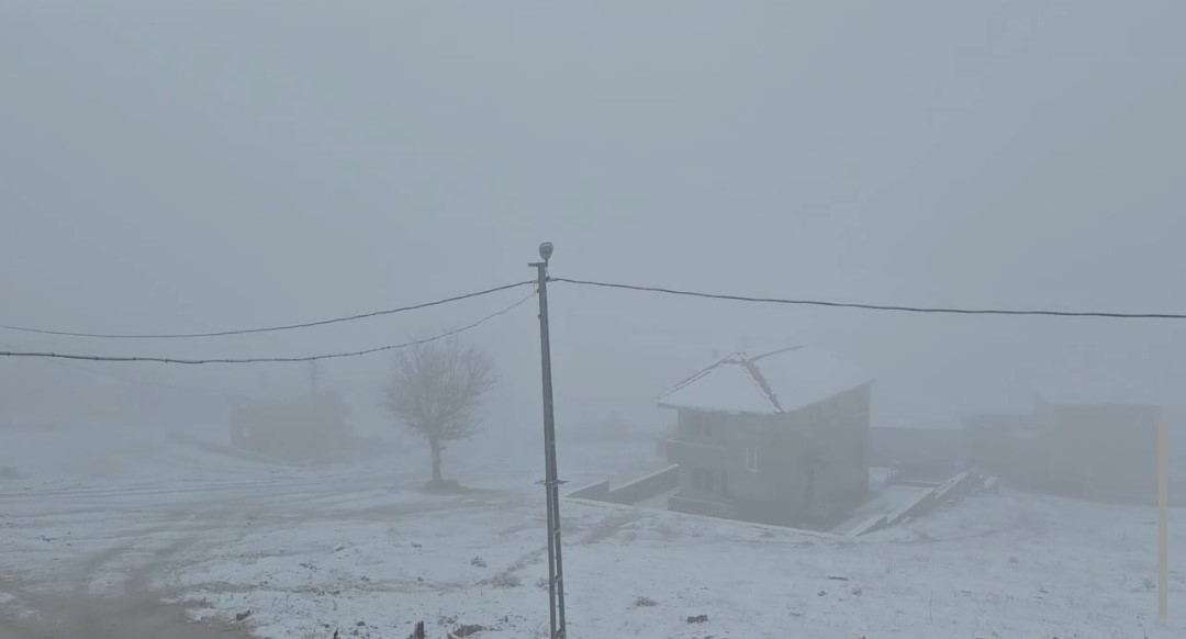 Adana&rsquo;da yaylalarda kar etkili oldu
