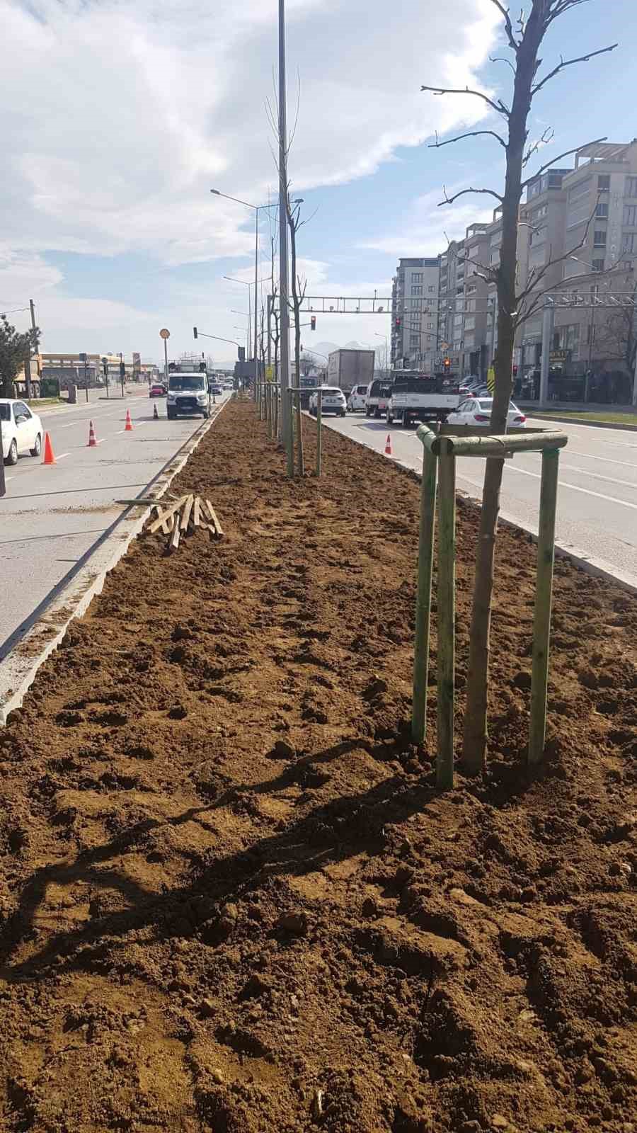 Bursa&rsquo;nın 700 yıllık mirası 700 &ccedil;ınarla k&ouml;k salıyor
