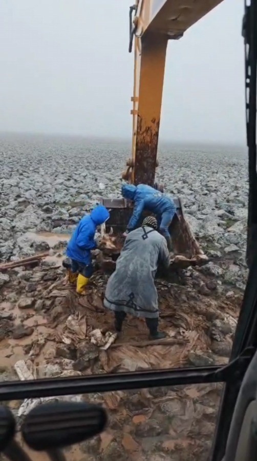 Şanlıurfa’da çamura saplanan inek kepçe yardımıyla kurtarıldı