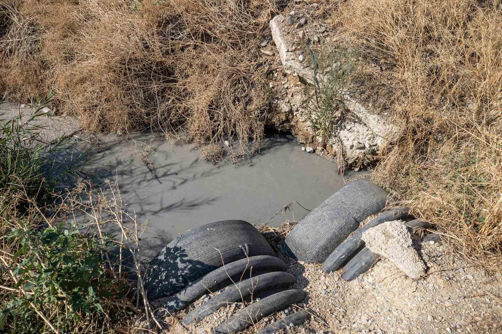 Gediz Nehri mercek altında

