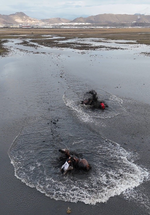 Atla gezi suda bitti
