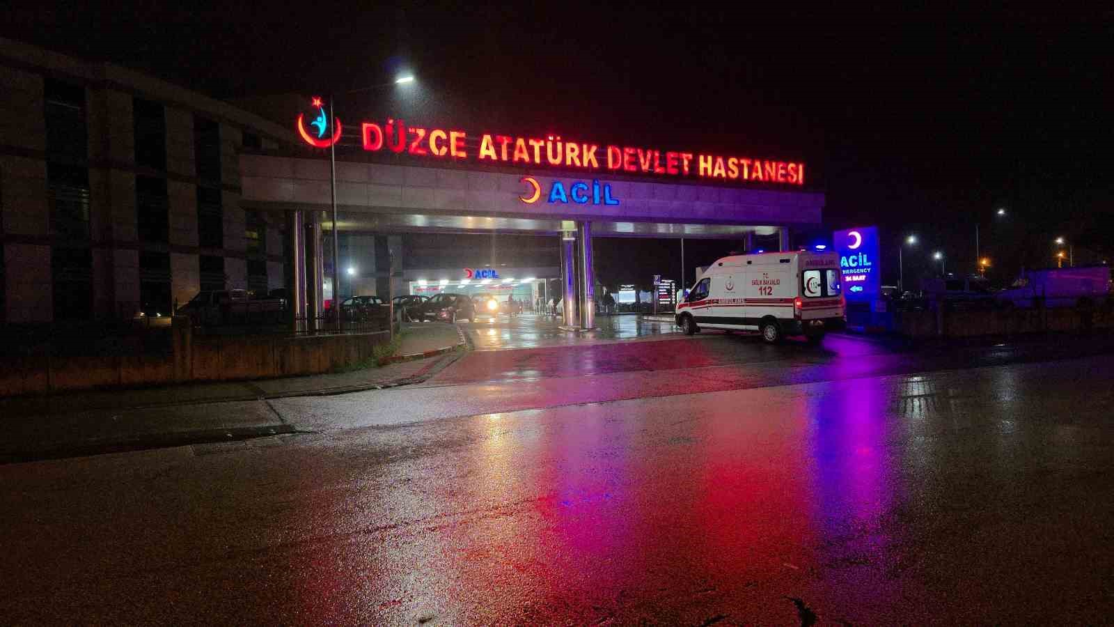 Cengiz Efe hayata döndürüldü