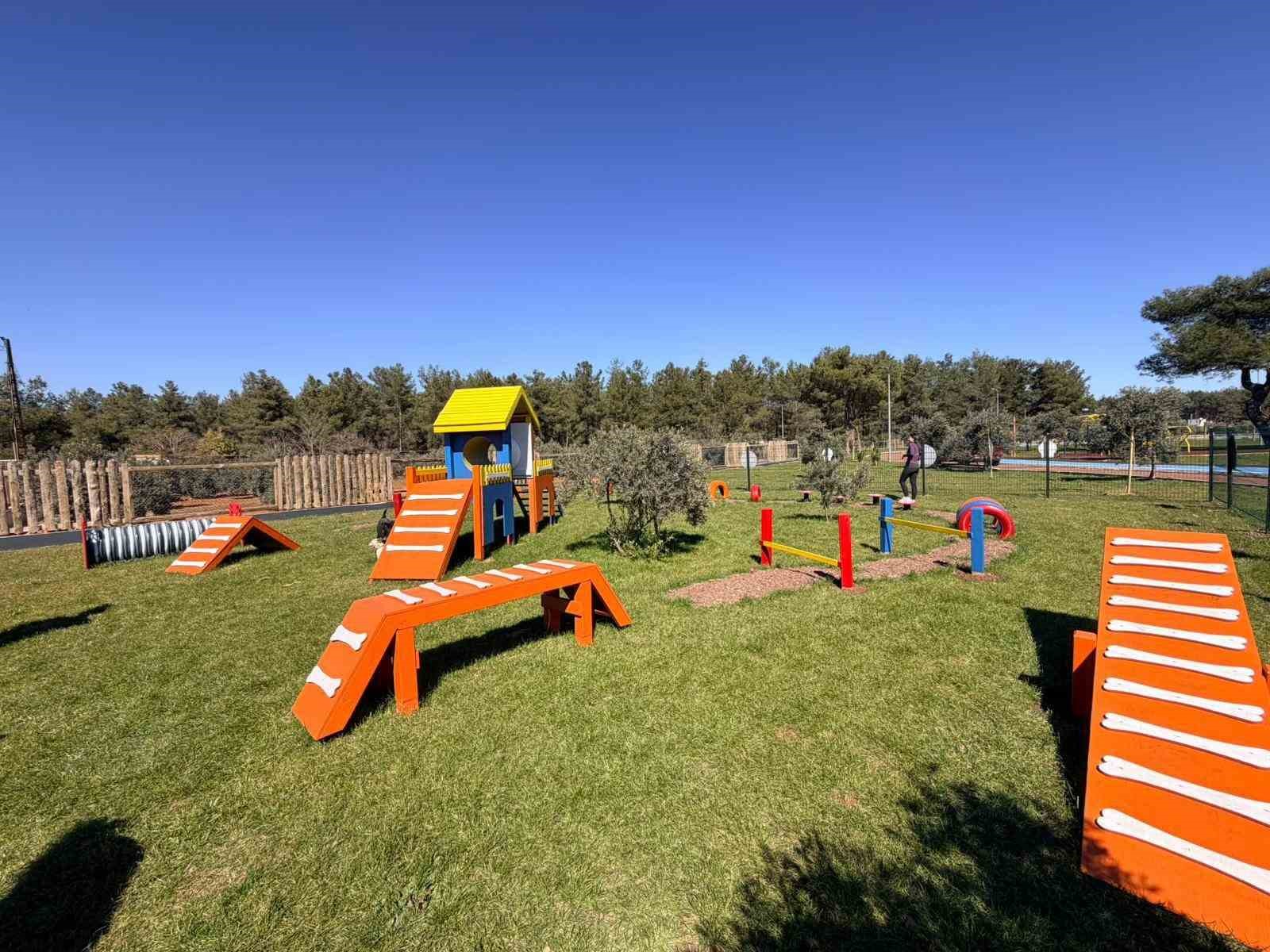 Duacı Mahallesi&rsquo;nde Pati Park hizmet a&ccedil;ıldı
