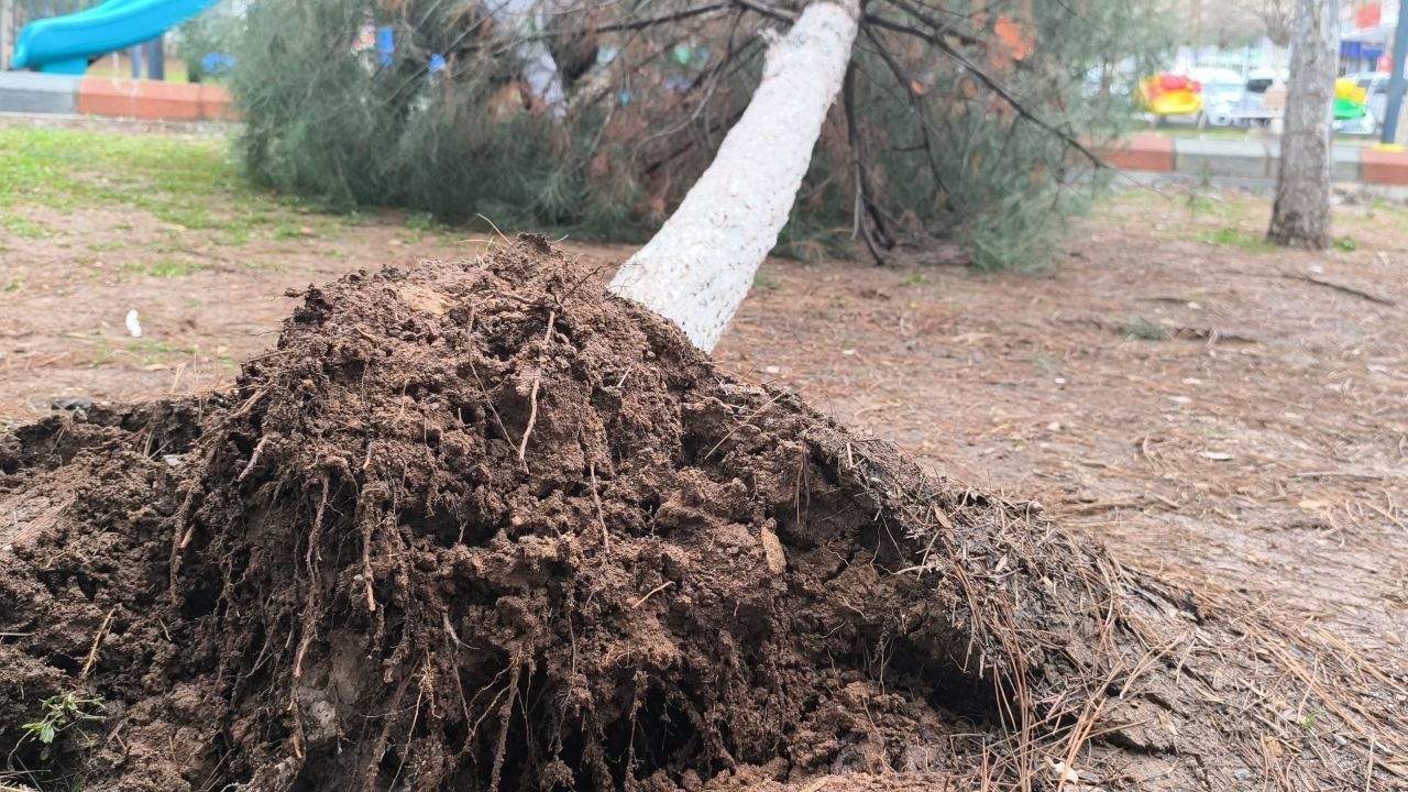 Gerc&uuml;ş&rsquo;te şiddetli yağış ve fırtına
