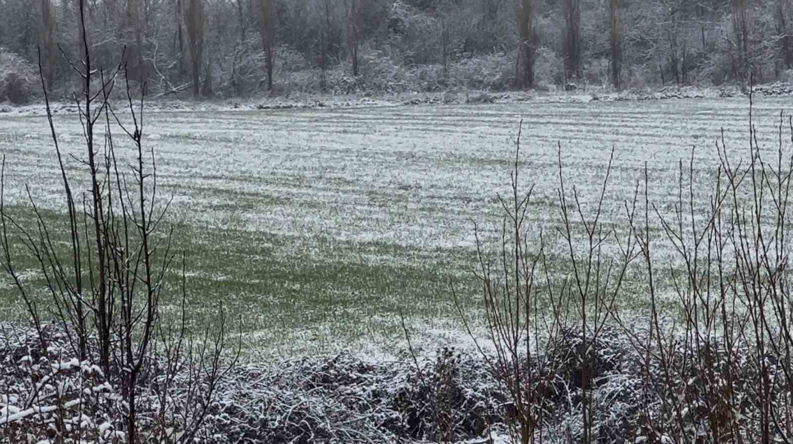 Afyonkarahisar ve K&uuml;tahya&rsquo;da badem ve kayısı &ccedil;i&ccedil;ekleri karla kaplandı
