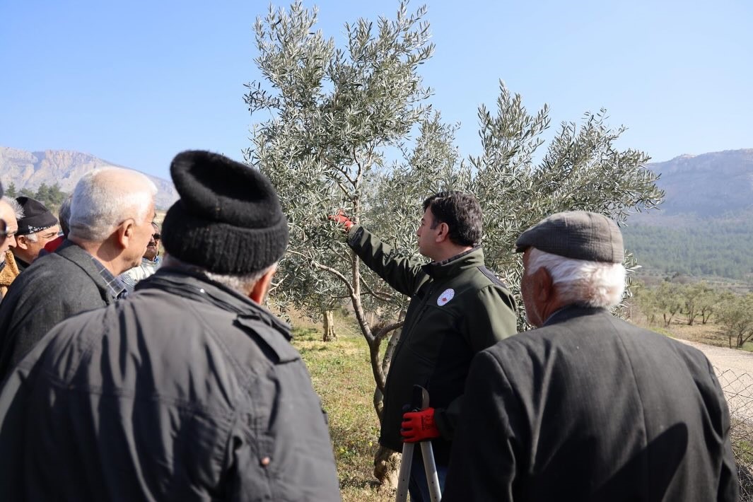 Bilecik’te üreticilere uygulamalı eğitim