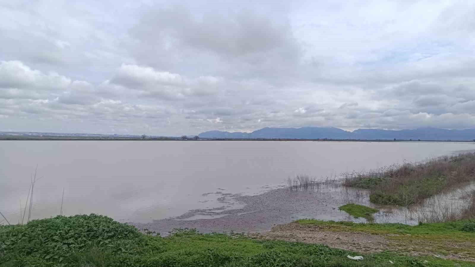 Doğan: "Destek mekanizmalarının hayata ge&ccedil;irilmesi gerekiyor"
