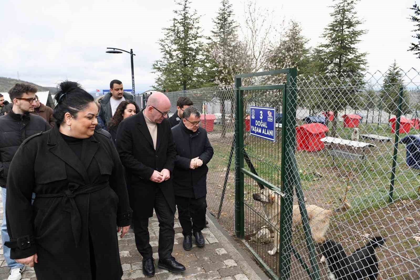 Altıeyl&uuml;l&rsquo; de can dostlar sıcak yuva bekliyor
