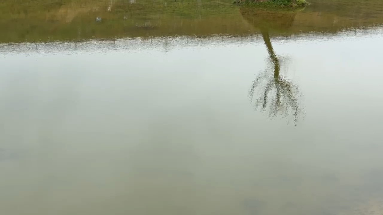 Kuruyan g&ouml;let yeniden canlandı: &Ccedil;atlayan topraklar suyla buluştu
