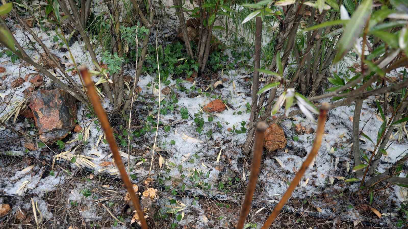 Muğla’da dolu sürprizi