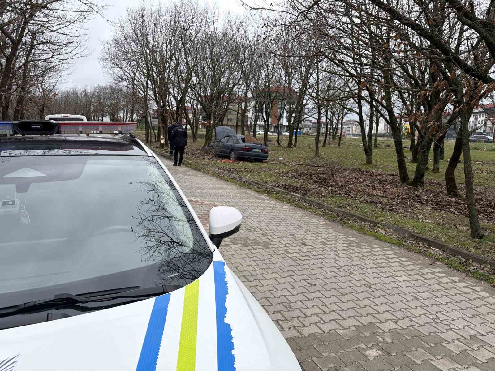 Kontrolden &ccedil;ıkan otomobil ağa&ccedil;lık alana daldı: 1 yaralı
