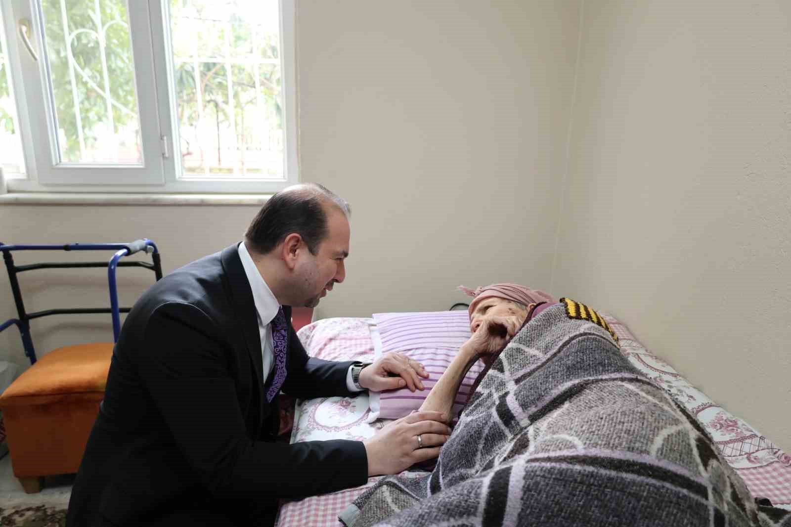 Aydın&rsquo;da yaşlı &ccedil;ınarlar unutulmadı
