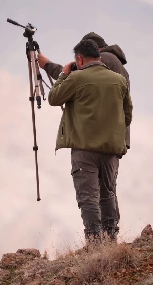 Sivas&rsquo;taki vahşi yaşam, Milli Parklar kamerasına yansıdı
