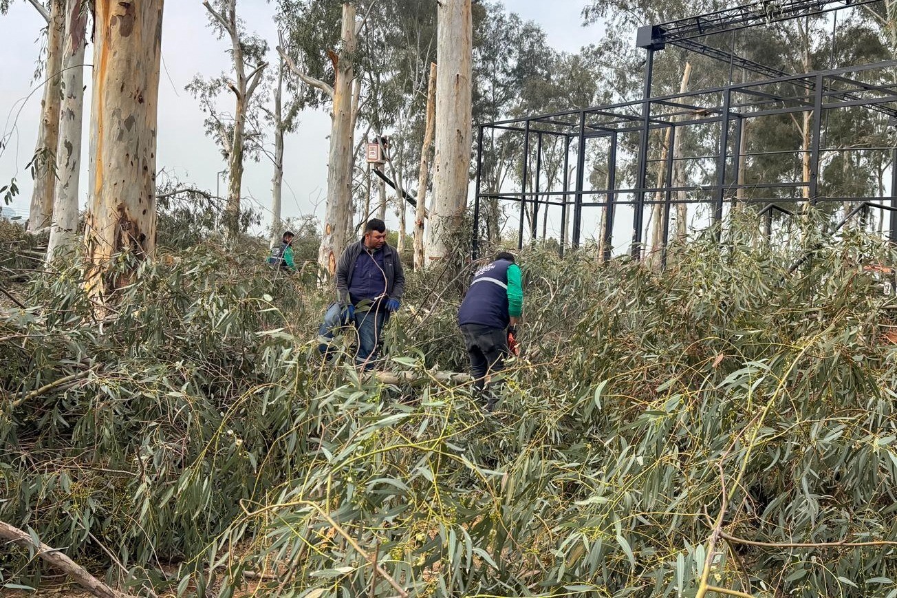 Tepecik Mesire Alanı yenileniyor
