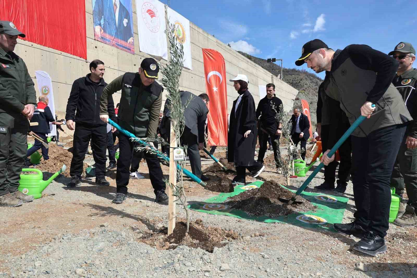 Artvin&rsquo;de hedef 2026 yılında 750 bin fidan
