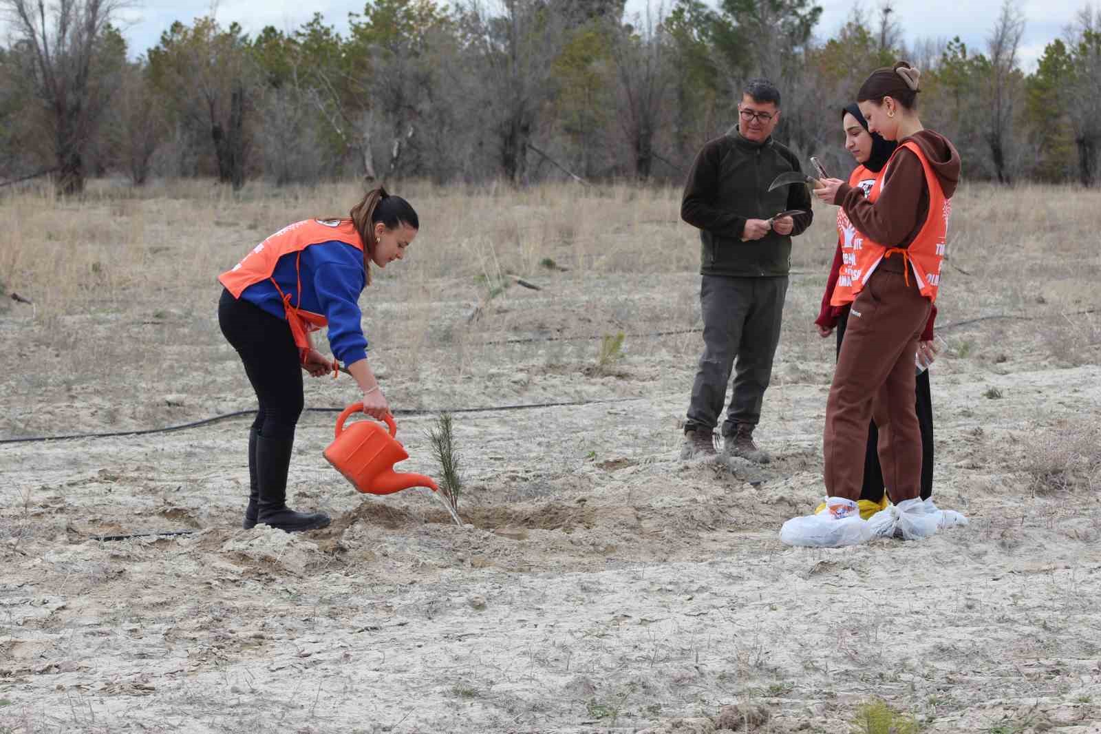 Karapınar&rsquo;da erozyon sahasına fidan dikildi
