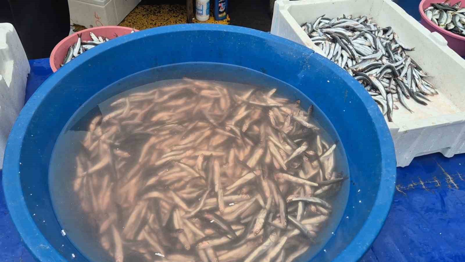 Pazarda hamsinin kilosu 200 liraya &ccedil;ıktı
