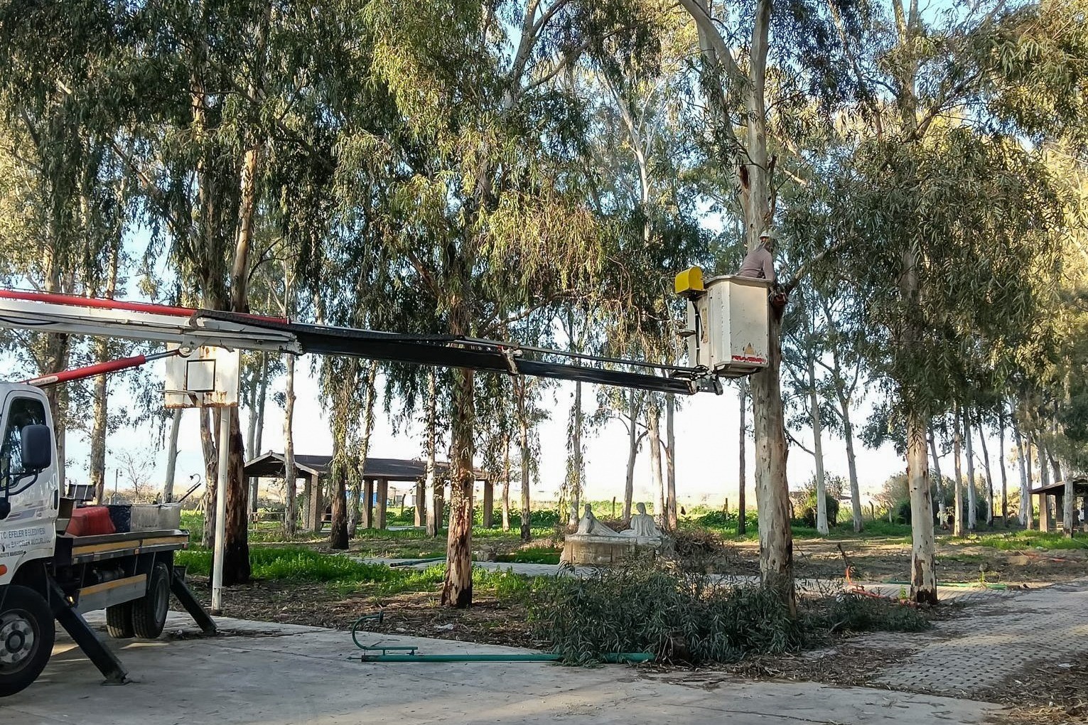 Tepecik Mesire Alanı yenileniyor