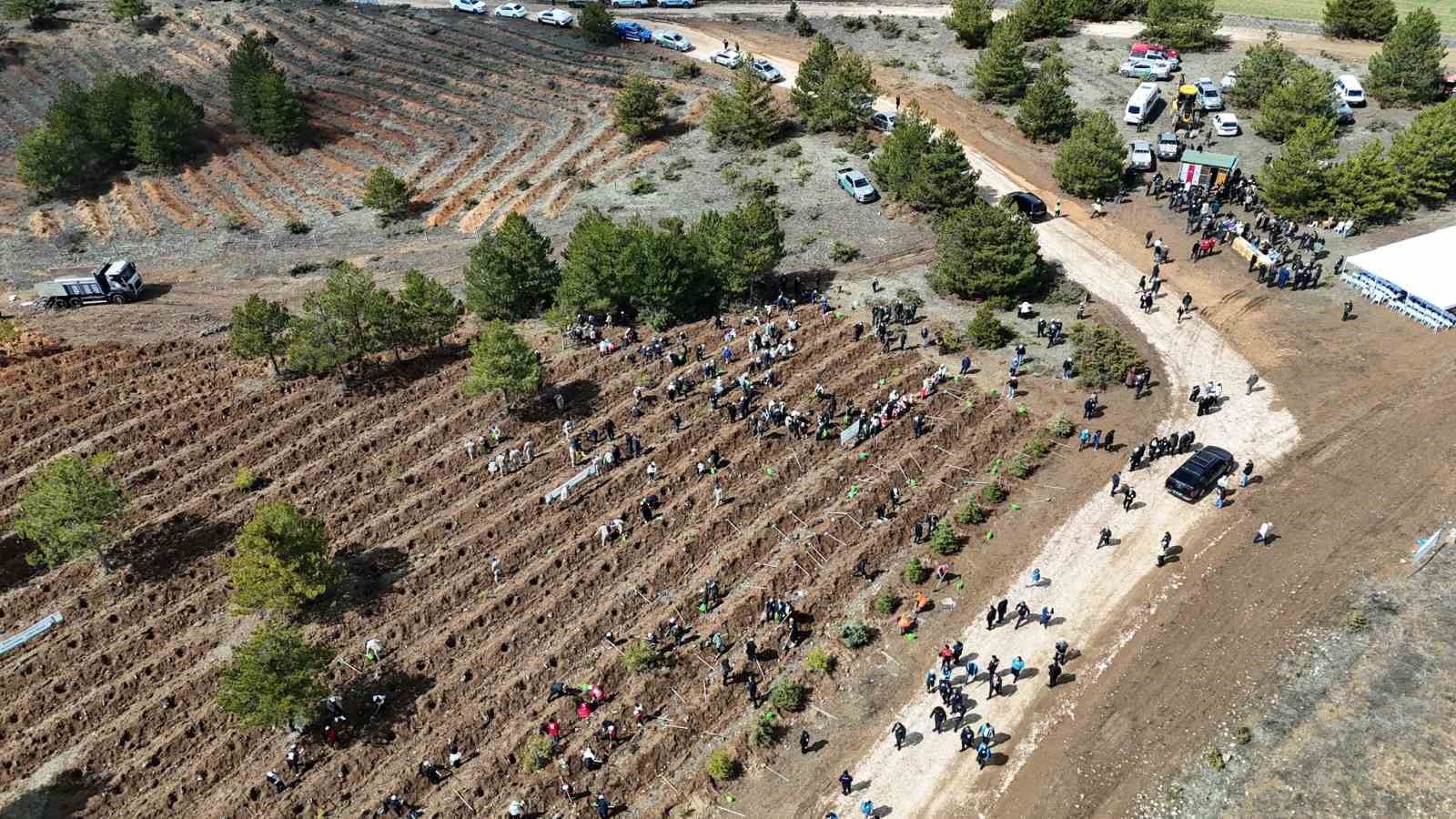 Kastamonu’da 210 bin fidan toprakla buluşturulacak