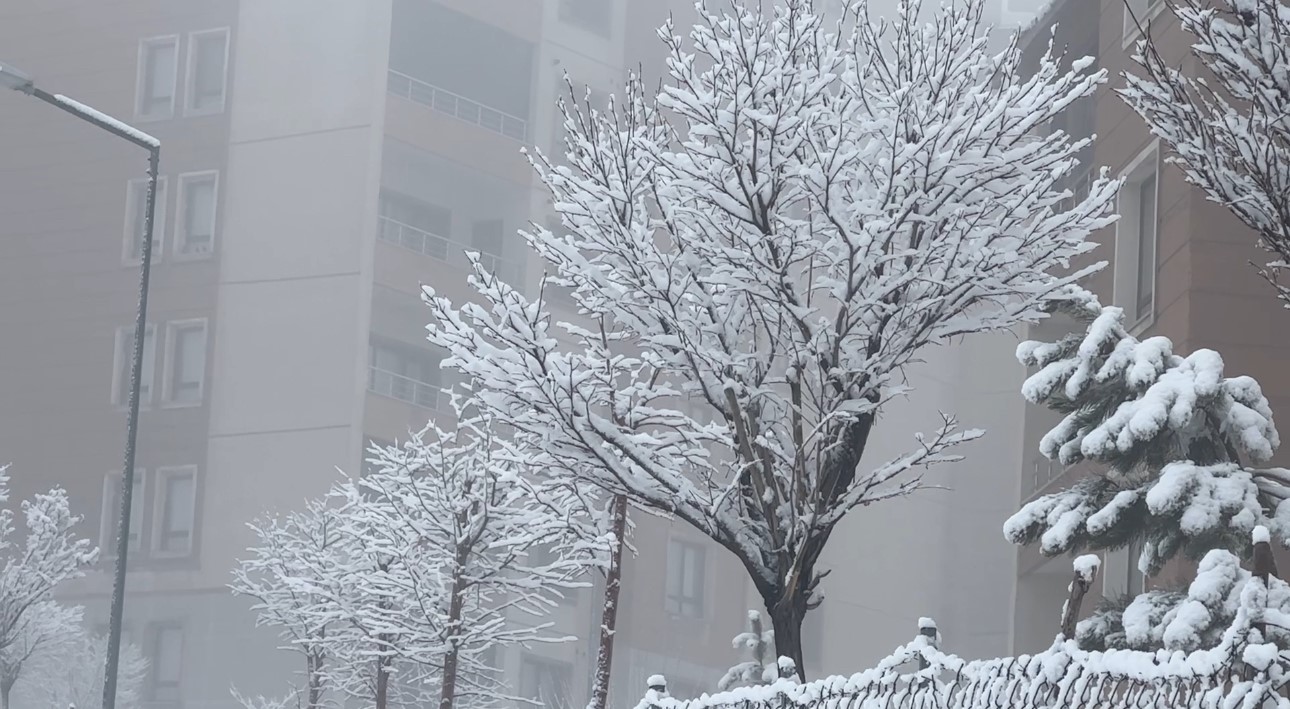 Y&uuml;ksekova&rsquo;da yoğun sis seyirlik g&ouml;r&uuml;nt&uuml;ler oluşturdu
