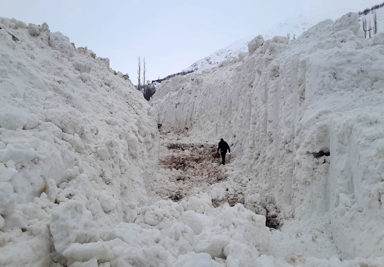 Yüksekova’da çığ meyve bahçelerini yuttu: Köy yolu kar tünelleriyle açılıyor
