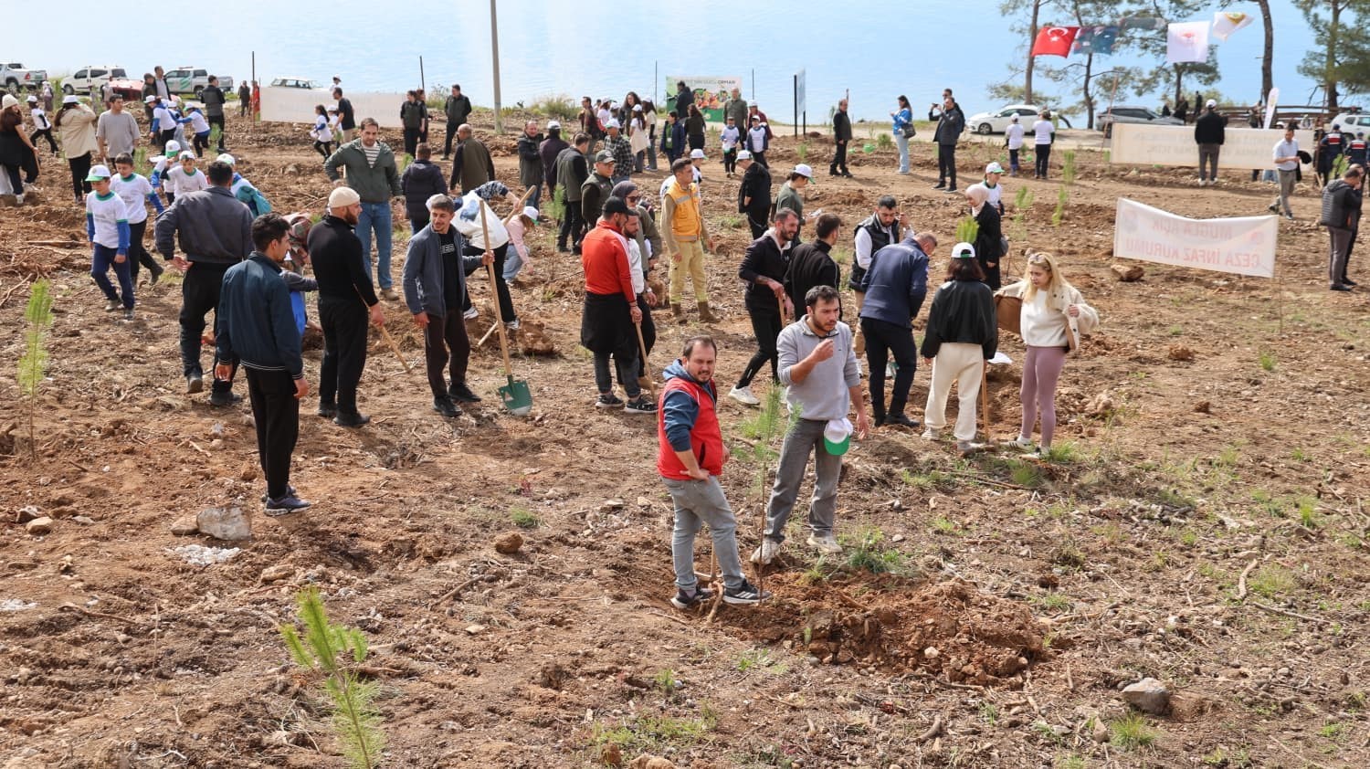 Akyaka&rsquo;da yanan alan fidanlarla yeşeriyor
