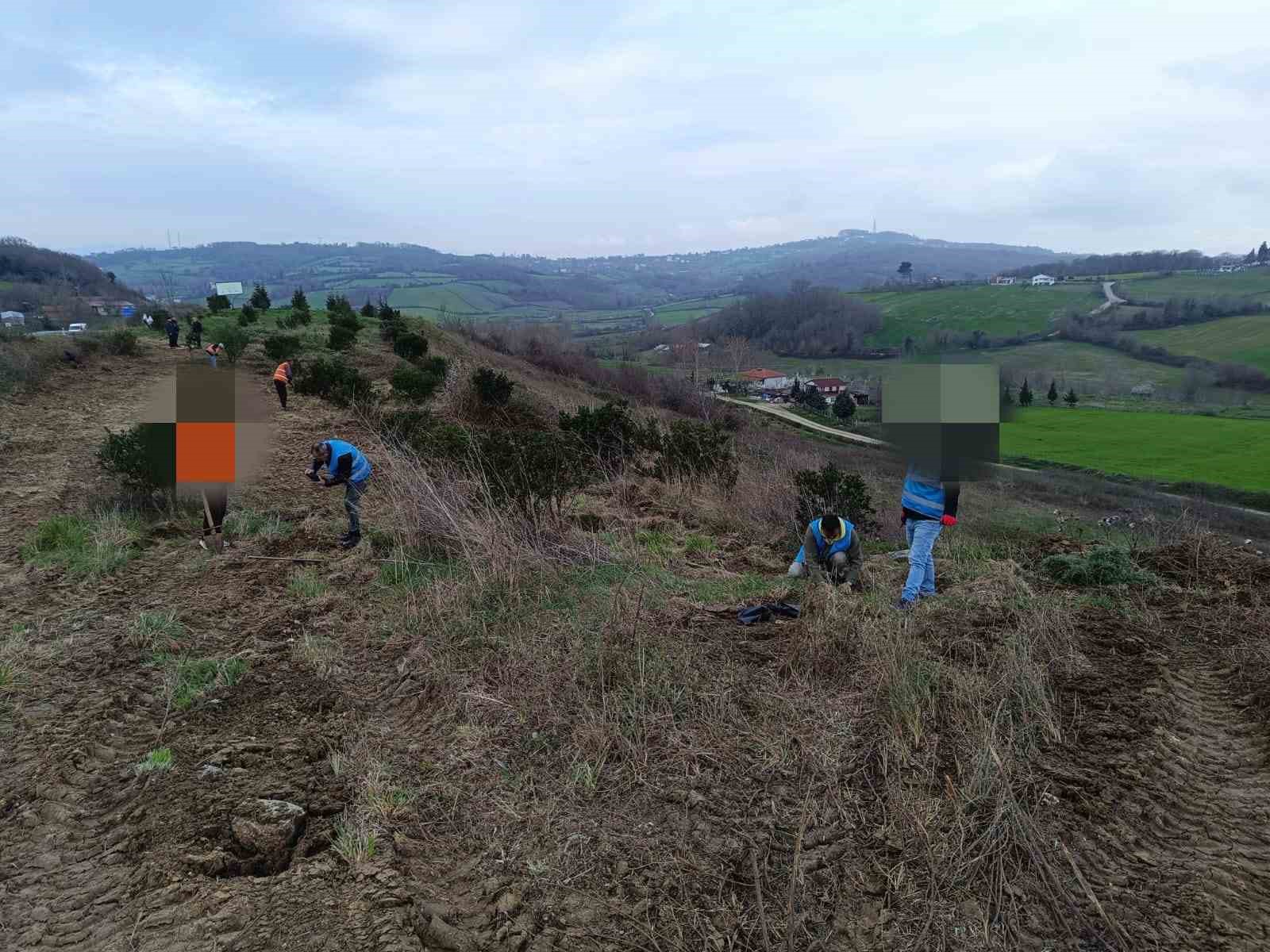 Sinop&rsquo;ta y&uuml;k&uuml;ml&uuml;lerden geleceğe nefes
