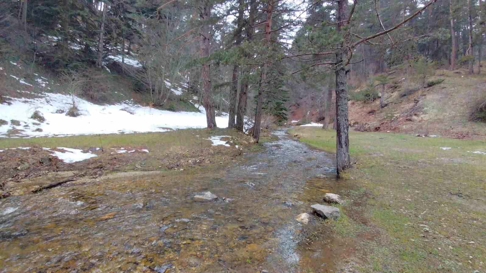 Karlar eridi, dereler coştu: &Ccedil;i&ccedil;ekler a&ccedil;tı
