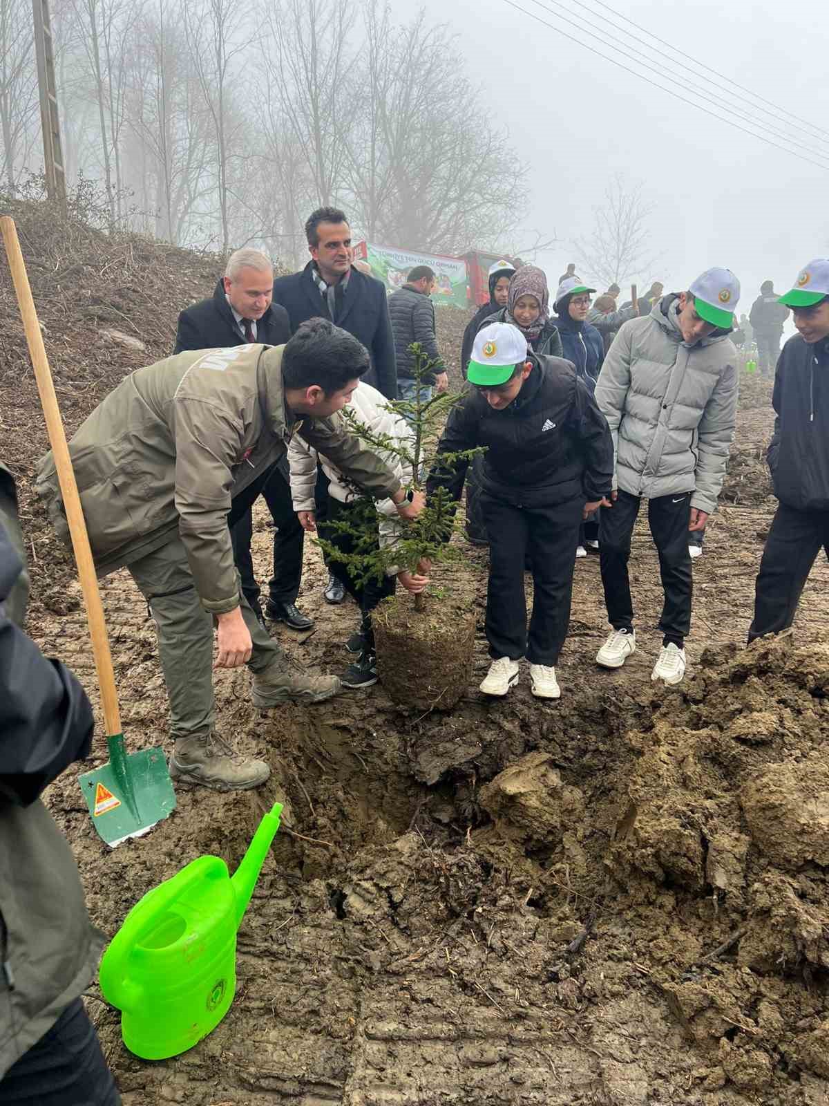 Türkeli’de yüzlerce fidan toprakla buluştu