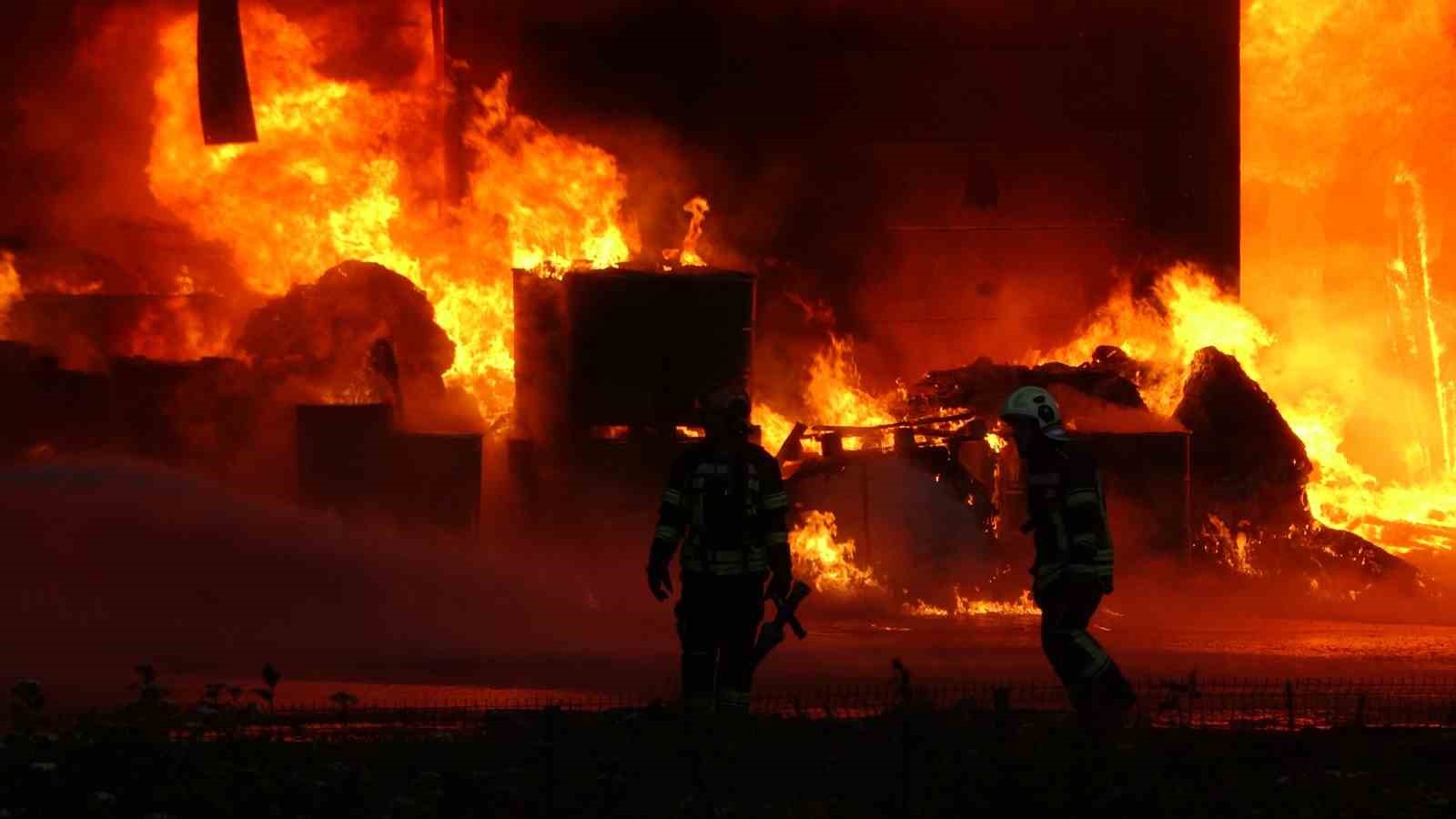 Trabzon’da fındık fabrikasında yangın