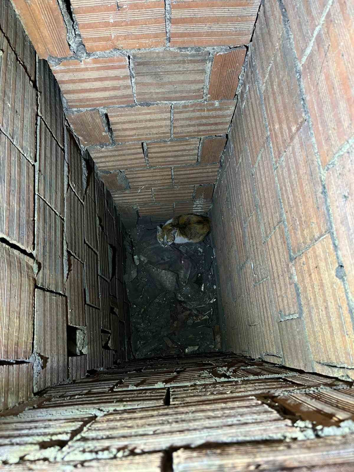 Havalandırma boşluğuna düşen kedi kurtarıldı