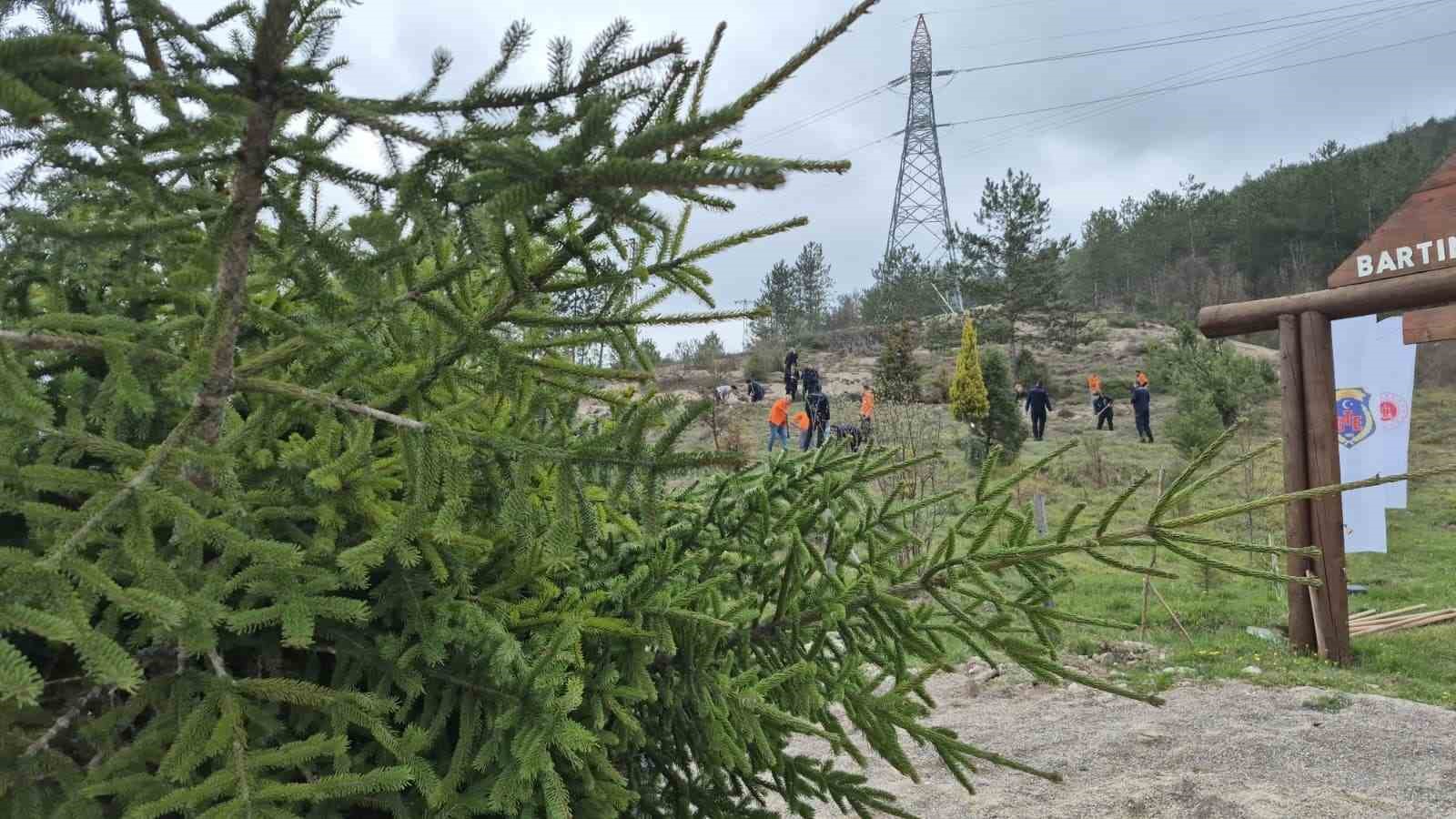 Bartın&rsquo;da h&uuml;k&uuml;ml&uuml;ler fidan dikti
